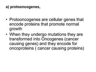 a) protooncogenes,
• Protooncogenes are cellular genes that
encode proteins that promote normal
growth
• When they undergo mutations they are
transformed into Oncogenes (cancer
causing genes) and they encode for
oncoproteins ( cancer causing proteins)
 