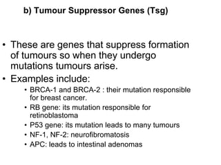 b) Tumour Suppressor Genes (Tsg)
• These are genes that suppress formation
of tumours so when they undergo
mutations tumours arise.
• Examples include:
• BRCA-1 and BRCA-2 : their mutation responsible
for breast cancer.
• RB gene: its mutation responsible for
retinoblastoma
• P53 gene: its mutation leads to many tumours
• NF-1, NF-2: neurofibromatosis
• APC: leads to intestinal adenomas
 