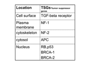Location TSGs-tumor suppressor
genes
Cell surface TGF-beta receptor
Plasma
membrane
NF-1
cytoskeleton NF-2
cytosol APC
Nucleus RB,p53
BRCA-1
BRCA-2
 