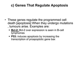 c) Genes That Regulate Apoptosis
• These genes regulate the programmed cell
death [apoptosis] When they undergo mutations
, tumours arise. Examples are:
 Bcl-2: Bcl-2 over expression is seen in B-cell
lymphomas
 P53: induces apoptosis by increasing the
transcription of proapoptotic gene bax
 