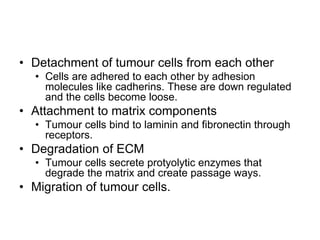• Detachment of tumour cells from each other
• Cells are adhered to each other by adhesion
molecules like cadherins. These are down regulated
and the cells become loose.
• Attachment to matrix components
• Tumour cells bind to laminin and fibronectin through
receptors.
• Degradation of ECM
• Tumour cells secrete protyolytic enzymes that
degrade the matrix and create passage ways.
• Migration of tumour cells.
 