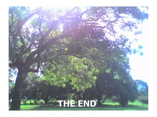 THE END
 