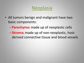 Neoplasia
• All tumors benign and malignant have two
basic components:
–Parechyma: made up of neoplastic cells
–Stroma: made up of non-neoplastic, host-
derived connective tissue and blood vessels
 