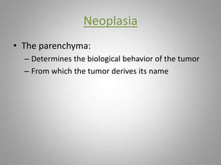 Neoplasia
• The parenchyma:
– Determines the biological behavior of the tumor
– From which the tumor derives its name
 
