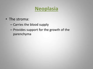Neoplasia
• The stroma:
– Carries the blood supply
– Provides support for the growth of the
parenchyma
 