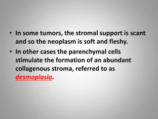 • In some tumors, the stromal support is scant
and so the neoplasm is soft and fleshy.
• In other cases the parenchymal cells
stimulate the formation of an abundant
collagenous stroma, referred to as
desmoplasia.
 