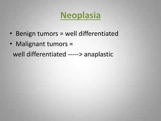Neoplasia
• Benign tumors = well differentiated
• Malignant tumors =
well differentiated -----> anaplastic
 