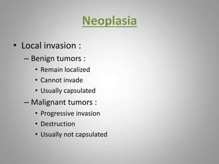 Neoplasia
• Local invasion :
– Benign tumors :
• Remain localized
• Cannot invade
• Usually capsulated
– Malignant tumors :
• Progressive invasion
• Destruction
• Usually not capsulated
 