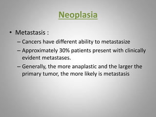 Neoplasia
• Metastasis :
– Cancers have different ability to metastasize
– Approximately 30% patients present with clinically
evident metastases.
– Generally, the more anaplastic and the larger the
primary tumor, the more likely is metastasis
 