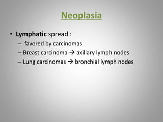 Neoplasia
• Lymphatic spread :
– favored by carcinomas
– Breast carcinoma  axillary lymph nodes
– Lung carcinomas  bronchial lymph nodes
 