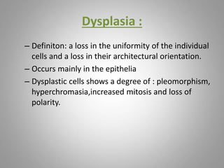 Dysplasia :
– Definiton: a loss in the uniformity of the individual
cells and a loss in their architectural orientation.
– Occurs mainly in the epithelia
– Dysplastic cells shows a degree of : pleomorphism,
hyperchromasia,increased mitosis and loss of
polarity.
 
