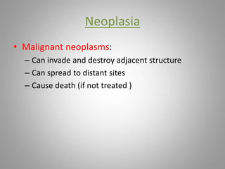 Neoplasia
• Malignant neoplasms:
– Can invade and destroy adjacent structure
– Can spread to distant sites
– Cause death (if not treated )
 