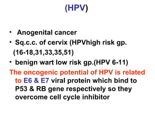 (HPV)
• Anogenital cancer
• Sq.c.c. of cervix (HPVhigh risk gp.
(16-18,31,33,35,51)
• benign wart low risk gp.(HPV 6-11)
The oncogenic potential of HPV is related
to E6 & E7 viral protein which bind to
P53 & RB gene respectively so they
overcome cell cycle inhibitor
 