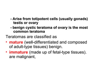 - Arise from totipotent cells (usually gonads)- Arise from totipotent cells (usually gonads)
testis or ovarytestis or ovary
- benign cystic teratoma of ovary is the most- benign cystic teratoma of ovary is the most
common teratomacommon teratoma
Teratomas are classified as
• mature (well-differentiated and composed
of adult-type tissues) benign.
• immature (made up of fetal-type tissues).
are malignant,
 