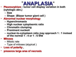 • PleomorphismPleomorphism : tumor cell display variation in both: tumor cell display variation in both
(cytologic abn,)(cytologic abn,)
– SizeSize
– Shape (Bizzar tumor giant cell )Shape (Bizzar tumor giant cell )
• Abnormal nuclear morphologyAbnormal nuclear morphology
– HyperchromasiaHyperchromasia
– High nuclear cytoplasmic ratioHigh nuclear cytoplasmic ratio
– Chromatin clumpingChromatin clumping
– Prominent nucleoliProminent nucleoli
– nuclear-to-cytoplasm ratio may approach 1 : 1 insteadnuclear-to-cytoplasm ratio may approach 1 : 1 instead
of the normal 1 : 4 or 1 : 6of the normal 1 : 4 or 1 : 6 thethe
• MitosesMitoses
– Mitotic rateMitotic rate
– Type of mitoses (atypical )Type of mitoses (atypical )
• Loss of polarityLoss of polarity ,,
• presence large area of necrosispresence large area of necrosis
““ANAPLASIAANAPLASIA””
 