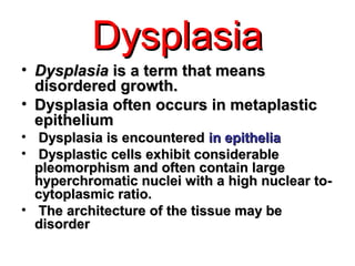 DysplasiaDysplasia
• DysplasiaDysplasia is a term that meansis a term that means
disordered growth.disordered growth.
• Dysplasia often occurs in metaplasticDysplasia often occurs in metaplastic
epitheliumepithelium
• Dysplasia is encounteredDysplasia is encountered in epitheliain epithelia
• Dysplastic cells exhibit considerableDysplastic cells exhibit considerable
pleomorphism and often contain largepleomorphism and often contain large
hyperchromatic nuclei with a high nuclear to-hyperchromatic nuclei with a high nuclear to-
cytoplasmic ratio.cytoplasmic ratio.
• The architecture of the tissue may beThe architecture of the tissue may be
disorderdisorder
 