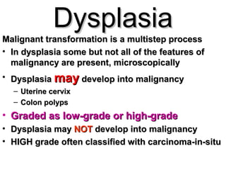 DysplasiaDysplasia
Malignant transformation is a multistep processMalignant transformation is a multistep process
• In dysplasia some but not all of the features ofIn dysplasia some but not all of the features of
malignancy are present, microscopicallymalignancy are present, microscopically
• DysplasiaDysplasia maymay develop into malignancydevelop into malignancy
– Uterine cervixUterine cervix
– Colon polypsColon polyps
• Graded as low-grade or high-gradeGraded as low-grade or high-grade
• Dysplasia mayDysplasia may NOTNOT develop into malignancydevelop into malignancy
• HIGH grade often classified with carcinoma-in-situHIGH grade often classified with carcinoma-in-situ
 