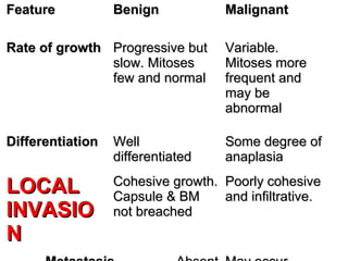 FeatureFeature BenignBenign MalignantMalignant
Rate of growthRate of growth Progressive butProgressive but
slow. Mitosesslow. Mitoses
few and normalfew and normal
Variable.Variable.
Mitoses moreMitoses more
frequent andfrequent and
may bemay be
abnormalabnormal
DifferentiationDifferentiation WellWell
differentiateddifferentiated
Some degree ofSome degree of
anaplasiaanaplasia
LOCALLOCAL
INVASIOINVASIO
NN
Cohesive growth.Cohesive growth.
Capsule & BMCapsule & BM
not breachednot breached
Poorly cohesivePoorly cohesive
and infiltrative.and infiltrative.
 