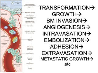 TRANSFORMATIONTRANSFORMATION
GROWTHGROWTH
BM INVASIONBM INVASION
ANGIOGENESISANGIOGENESIS
INTRAVASATIONINTRAVASATION
EMBOLIZATIONEMBOLIZATION
ADHESIONADHESION
EXTRAVASATIONEXTRAVASATION
METASTATIC GROWTHMETASTATIC GROWTH
etcetc..
 