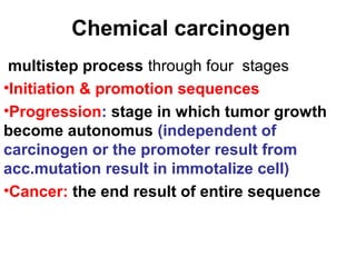 Chemical carcinogen
multistep process through four stages
•Initiation & promotion sequences
•Progression: stage in which tumor growth
become autonomus (independent of
carcinogen or the promoter result from
acc.mutation result in immotalize cell)
•Cancer: the end result of entire sequence
 