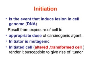 Initiation
• Is the event that induce lesion in cell
genome (DNA)
Result from exposure of cell to
• appropriate dose of carcinogenic agent .
• Initiator is mutagenic
• Initiated cell (altered ,transformed cell )
render it susceptible to give rise of tumor
 