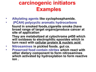 carcinogenic initiators
Examples
• Alkylating agents like cyclophosphamide.
• (PCAH) polycyclic aromatic hydrocarbons
found in smoked foods,cigarette smoke (have
broad range of target organs)produce cancer at
site of application
They are metabolized at cytochrome p450 which
will oxidases to electrophilic epoxides which in
turn react with cellular protein & nucleic acid
• Nitrosamines in pickled foods. gut ca.
• Preserved food contain nitrites which react with
other dietary component to form nitrosamines
which activated by hydroxylation to form reactive
ion .
 