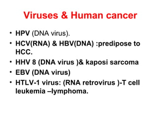 Viruses & Human cancer
• HPV (DNA virus).
• HCV(RNA) & HBV(DNA) :predipose to
HCC.
• HHV 8 (DNA virus )& kaposi sarcoma
• EBV (DNA virus)
• HTLV-1 virus: (RNA retrovirus )-T cell
leukemia –lymphoma.
 