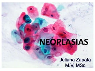 NEOPLASIAS
Juliana Zapata
M.V, MSc
 