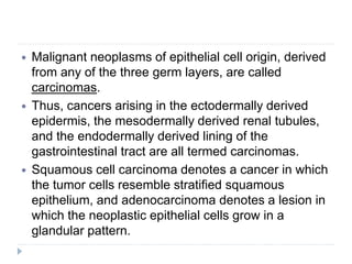  Malignant neoplasms of epithelial cell origin, derived
from any of the three germ layers, are called
carcinomas.
 Thus, cancers arising in the ectodermally derived
epidermis, the mesodermally derived renal tubules,
and the endodermally derived lining of the
gastrointestinal tract are all termed carcinomas.
 Squamous cell carcinoma denotes a cancer in which
the tumor cells resemble stratified squamous
epithelium, and adenocarcinoma denotes a lesion in
which the neoplastic epithelial cells grow in a
glandular pattern.
 