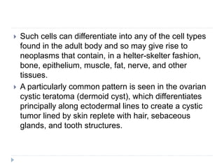  Such cells can differentiate into any of the cell types
found in the adult body and so may give rise to
neoplasms that contain, in a helter-skelter fashion,
bone, epithelium, muscle, fat, nerve, and other
tissues.
 A particularly common pattern is seen in the ovarian
cystic teratoma (dermoid cyst), which differentiates
principally along ectodermal lines to create a cystic
tumor lined by skin replete with hair, sebaceous
glands, and tooth structures.
 