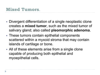 Mixed Tumors.
 Divergent differentiation of a single neoplastic clone
creates a mixed tumor, such as the mixed tumor of
salivary gland; also called pleomorphic adenoma.
 These tumors contain epithelial components
scattered within a myxoid stroma that may contain
islands of cartilage or bone.
 All of these elements arise from a single clone
capable of producing both epithelial and
myoepithelial cells.
 