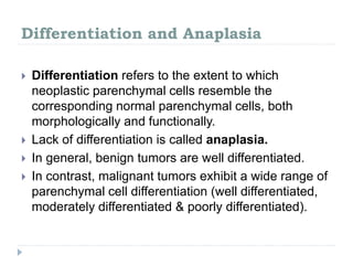 Differentiation and Anaplasia
 Differentiation refers to the extent to which
neoplastic parenchymal cells resemble the
corresponding normal parenchymal cells, both
morphologically and functionally.
 Lack of differentiation is called anaplasia.
 In general, benign tumors are well differentiated.
 In contrast, malignant tumors exhibit a wide range of
parenchymal cell differentiation (well differentiated,
moderately differentiated & poorly differentiated).
 