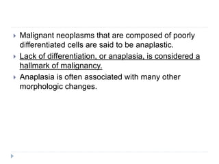  Malignant neoplasms that are composed of poorly
differentiated cells are said to be anaplastic.
 Lack of differentiation, or anaplasia, is considered a
hallmark of malignancy.
 Anaplasia is often associated with many other
morphologic changes.
 