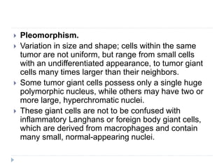 Pleomorphism.
 Variation in size and shape; cells within the same
tumor are not uniform, but range from small cells
with an undifferentiated appearance, to tumor giant
cells many times larger than their neighbors.
 Some tumor giant cells possess only a single huge
polymorphic nucleus, while others may have two or
more large, hyperchromatic nuclei.
 These giant cells are not to be confused with
inflammatory Langhans or foreign body giant cells,
which are derived from macrophages and contain
many small, normal-appearing nuclei.
 