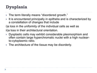 Dysplasia
 The term literally means “disordered growth.”
 It is encountered principally in epithelia and is characterized by
a constellation of changes that include
i)a loss in the uniformity of the individual cells as well as
ii)a loss in their architectural orientation.
 Dysplastic cells may exhibit considerable pleomorphism and
often contain large hyperchromatic nuclei with a high nuclear-
to-cytoplasmic ratio.
 The architecture of the tissue may be disorderly.
 