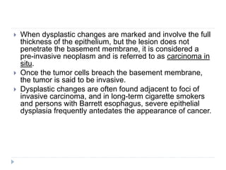  When dysplastic changes are marked and involve the full
thickness of the epithelium, but the lesion does not
penetrate the basement membrane, it is considered a
pre-invasive neoplasm and is referred to as carcinoma in
situ.
 Once the tumor cells breach the basement membrane,
the tumor is said to be invasive.
 Dysplastic changes are often found adjacent to foci of
invasive carcinoma, and in long-term cigarette smokers
and persons with Barrett esophagus, severe epithelial
dysplasia frequently antedates the appearance of cancer.
 