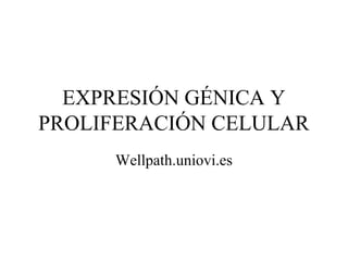 EXPRESIÓN GÉNICA Y 
PROLIFERACIÓN CELULAR 
Wellpath.uniovi.es 
 