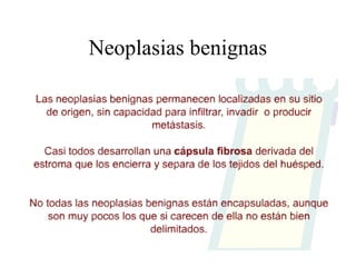 Neoplasias benignas 
 