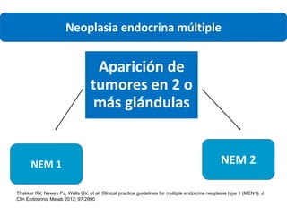 Neoplasia Endocrina Multiple PPTX neoplasia-endocrina-multiple-pptx