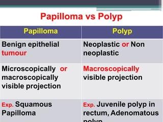 neoplasia final.pptx