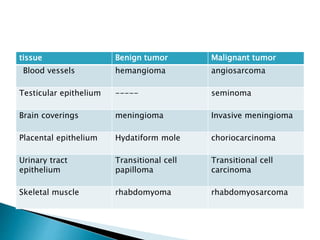 Neoplasia LECTURE 1.revised.pptx