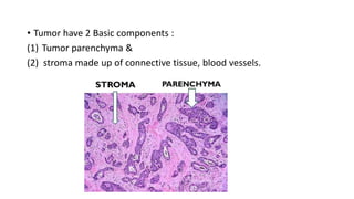 Neoplasia [part 1] | PPTX