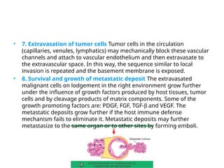 Comprehensive Overview of Cell Injury, Adaptations, and Neoplasia in ...