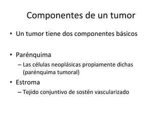 Componentes de un tumor
• Un tumor tiene dos componentes básicos

• Parénquima
  – Las células neoplásicas propiamente dichas
    (parénquima tumoral)
• Estroma
  – Tejido conjuntivo de sostén vascularizado
 