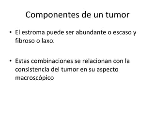 Componentes de un tumor
• El estroma puede ser abundante o escaso y
  fibroso o laxo.

• Estas combinaciones se relacionan con la
  consistencia del tumor en su aspecto
  macroscópico
 