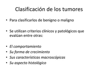 Clasificación de los tumores
• Para clasificarlos de benigno o maligno

• Se utilizan criterios clínicos y patológicos que
  evalúan entre otras:

•   El comportamiento
•   Su forma de crecimiento
•   Sus características macroscópicas
•   Su aspecto histológico
 