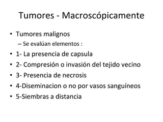 Tumores - Macroscópicamente
• Tumores malignos
    – Se evalúan elementos :
•   1- La presencia de capsula
•   2- Compresión o invasión del tejido vecino
•   3- Presencia de necrosis
•   4-Diseminacion o no por vasos sanguíneos
•   5-Siembras a distancia
 