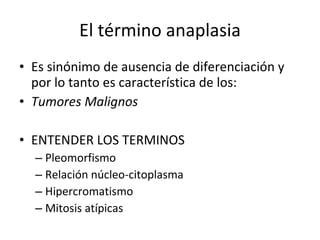 El término anaplasia
• Es sinónimo de ausencia de diferenciación y
  por lo tanto es característica de los:
• Tumores Malignos

• ENTENDER LOS TERMINOS
  – Pleomorfismo
  – Relación núcleo-citoplasma
  – Hipercromatismo
  – Mitosis atípicas
 