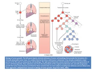 Biology of tumor growth. The left panel depicts minimal estimates of tumor cell doublings that precede the formation of a
clinically detectable tumor mass. It is evident that by the time a solid tumor is detected, it has already completed a major
portion of its life cycle as measured by cell doublings. The right panel illustrates clonal evolution of tumors and generation of
tumor cell heterogeneity. New subclones arise from the descendants of the original transformed cell, and with progressive
growth the tumor mass becomes enriched for those variants that are more adept at evading host defenses and are likely to be
more aggressive. (Adapted from Tannock IF: Biology of tumor growth. Hosp Pract 18:81, 1983.)
 