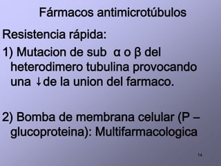 14
Fármacos antimicrotúbulos
Resistencia rápida:
1) Mutacion de sub α o β del
heterodimero tubulina provocando
una ↓de la union del farmaco.
2) Bomba de membrana celular (P –
glucoproteina): Multifarmacologica
 